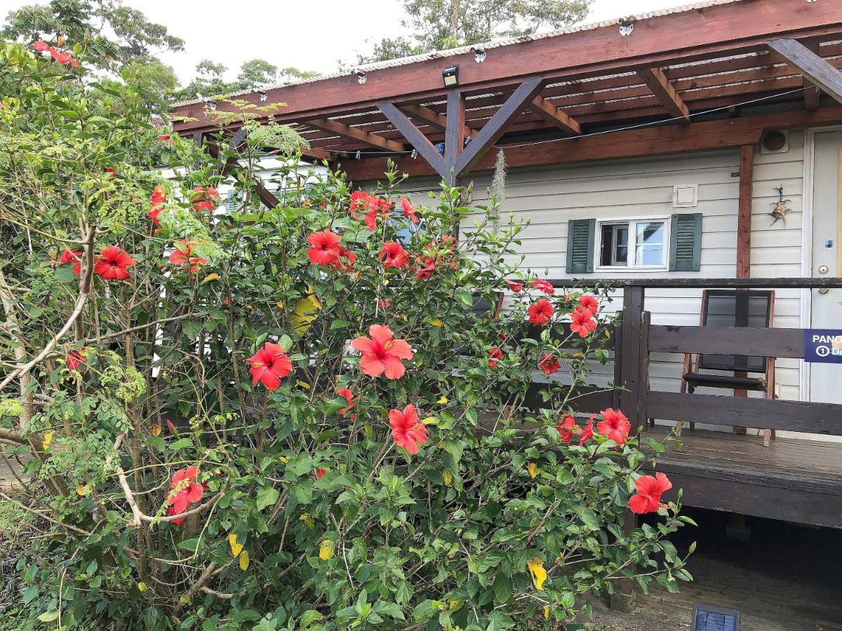 Panorama Ocean View Cottage Motobu Buitenkant foto