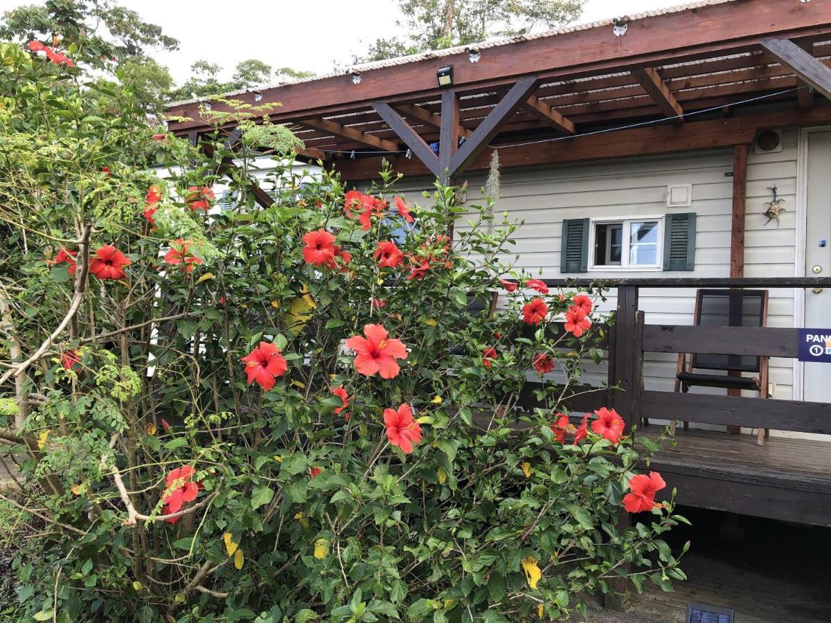 Panorama Ocean View Cottage Motobu Buitenkant foto