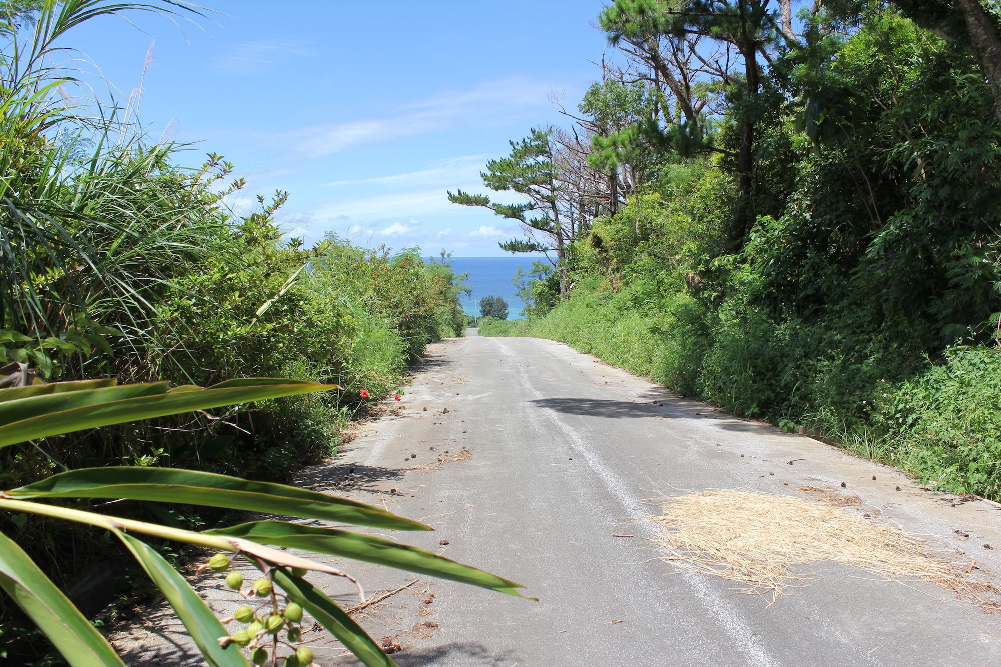 Panorama Ocean View Cottage Motobu Buitenkant foto